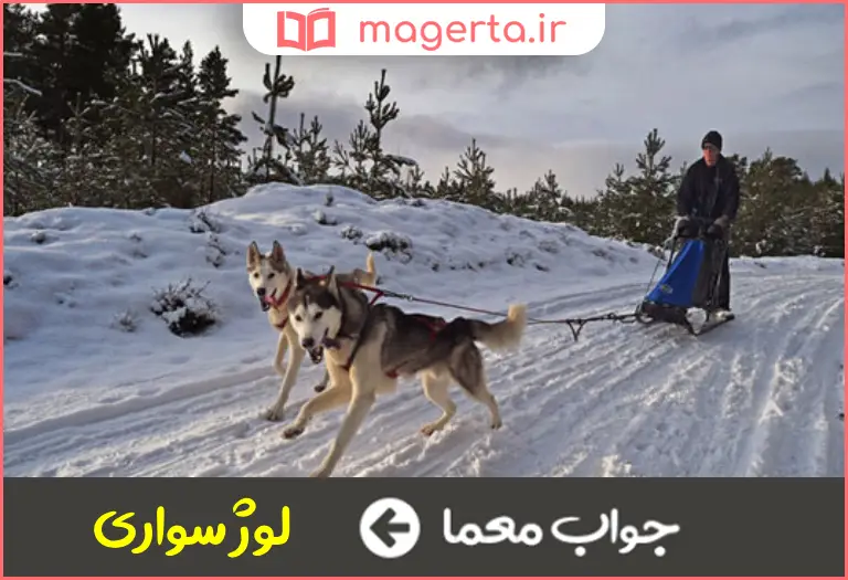جواب معما سورتمه رانی در جدول