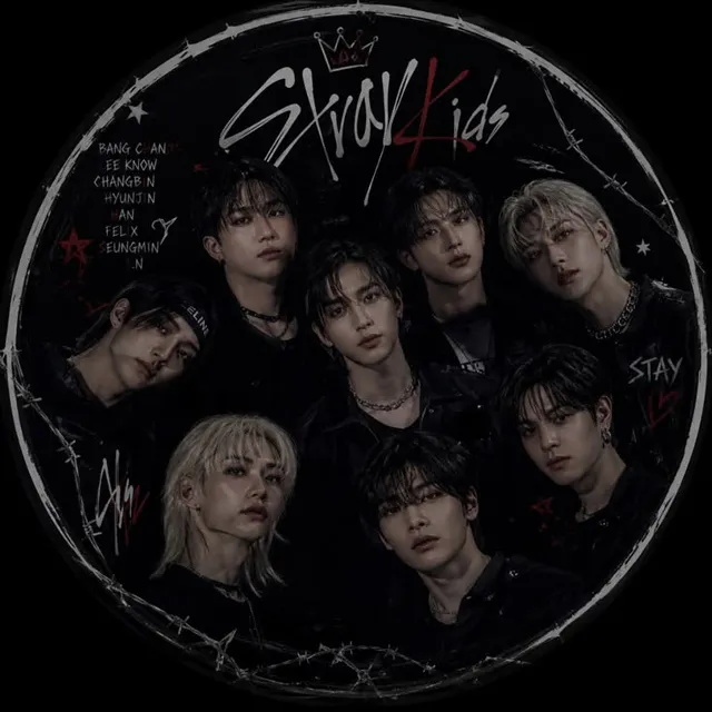 عکس پروفایل Stray Kids خاص