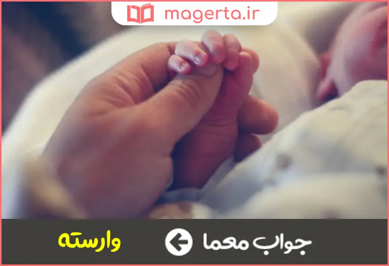 جواب معما خاضع و رها شده در جدول