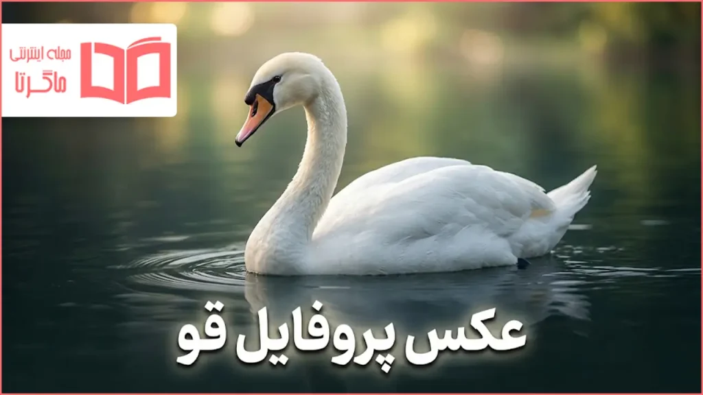 عکس پروفایل قو