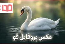 عکس پروفایل قو