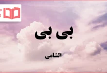 متن و ترجمه آهنگ بی بی از الشامی