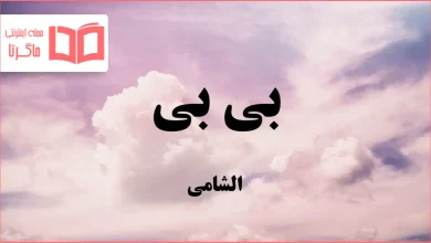 متن و ترجمه آهنگ بی بی از الشامی