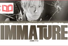 متن و ترجمه آهنگ Immature از EVAN