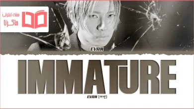 متن و ترجمه آهنگ Immature از EVAN
