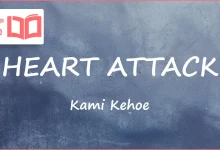 متن و ترجمه آهنگ HEART ATTACK از Kami Kehoe