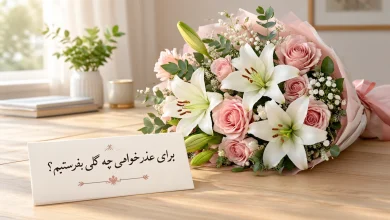 برای عذرخواهی چه گلی بفرستیم؟