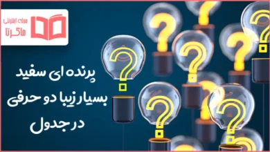پرنده ای سفید و بسیار زیبا دو حرفی در جدول