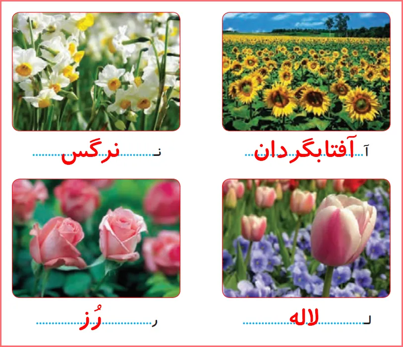 پاسخ بگرد و پیدا کن صفحه ۳۵ درس ۷ هدیه اقلیت های دینی دوم دبستان