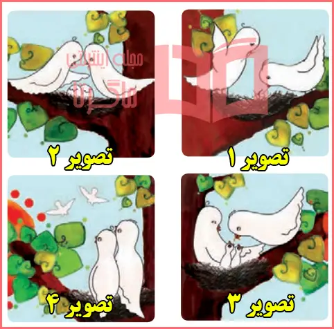 جواب ببین و بگو صفحه ۵۰ درس هفتم فارسی اول دبستان