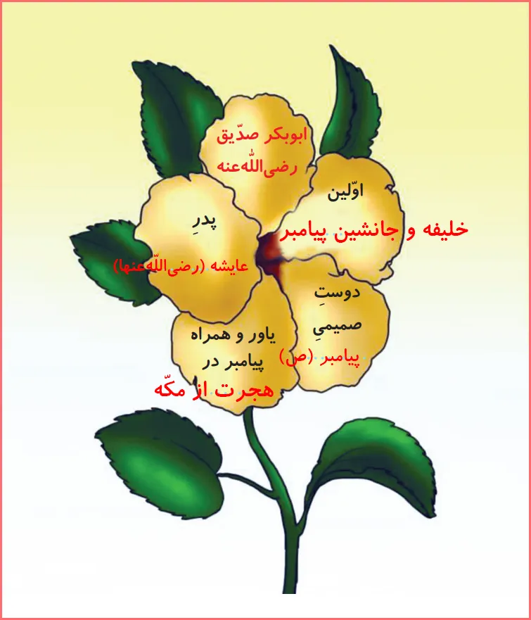 پاسخ امین و مینا صفحه ۱۲ درس ۱۰ هدیه اهل سنت دوم دبستان