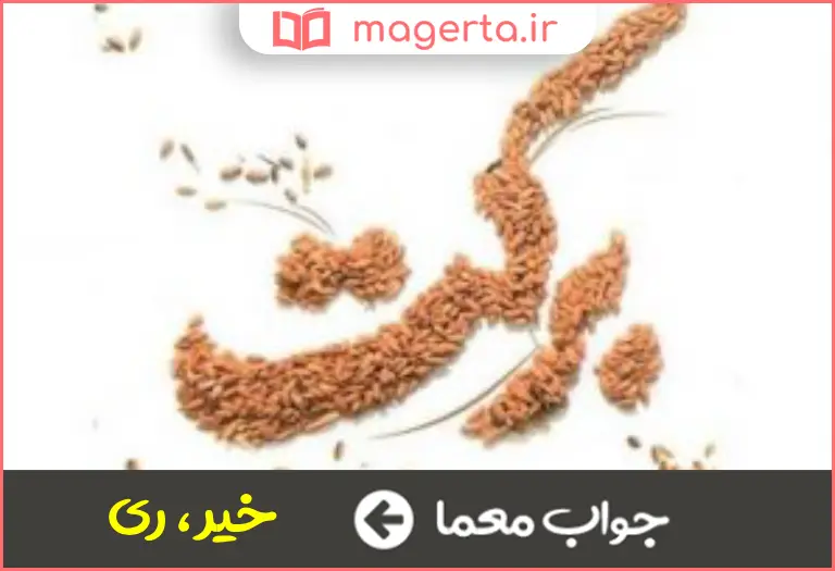 جواب معما برکت در جدول