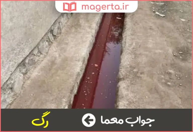جواب معما جوی خون در جدول