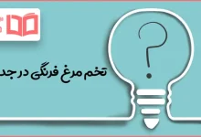 تخم مرغ فرنگی در جدول