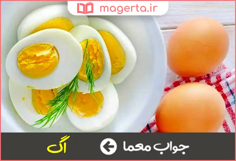 جواب معما تخم مرغ فرنگی در جدول