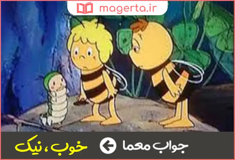 جواب معما برگزیده و نیکو در جدول