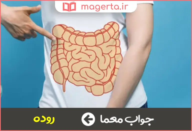 جواب معما کوچک و بزرگش را همه دارند در جدول