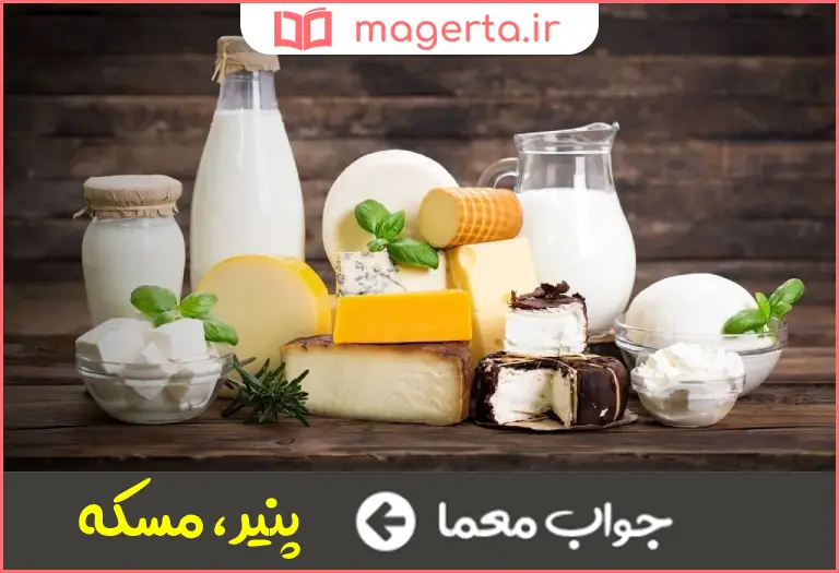 جواب معما از لبنیات در جدول