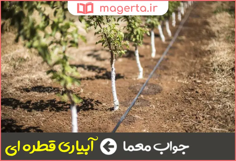 جواب معما روش آبیاری که در آن آب با فشار خیلی کم و به صورت قطرات به پای گیاه ریخته میشود در جدول