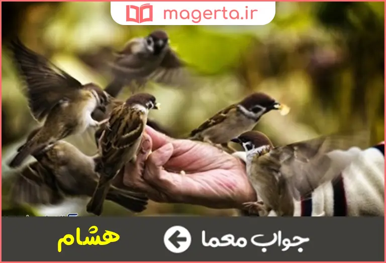 جواب معما جود و بخشش در جدول 