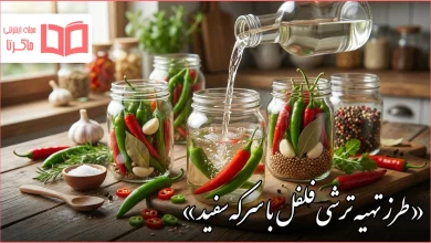 طرز تهیه ترشی فلفل با سرکه سفید