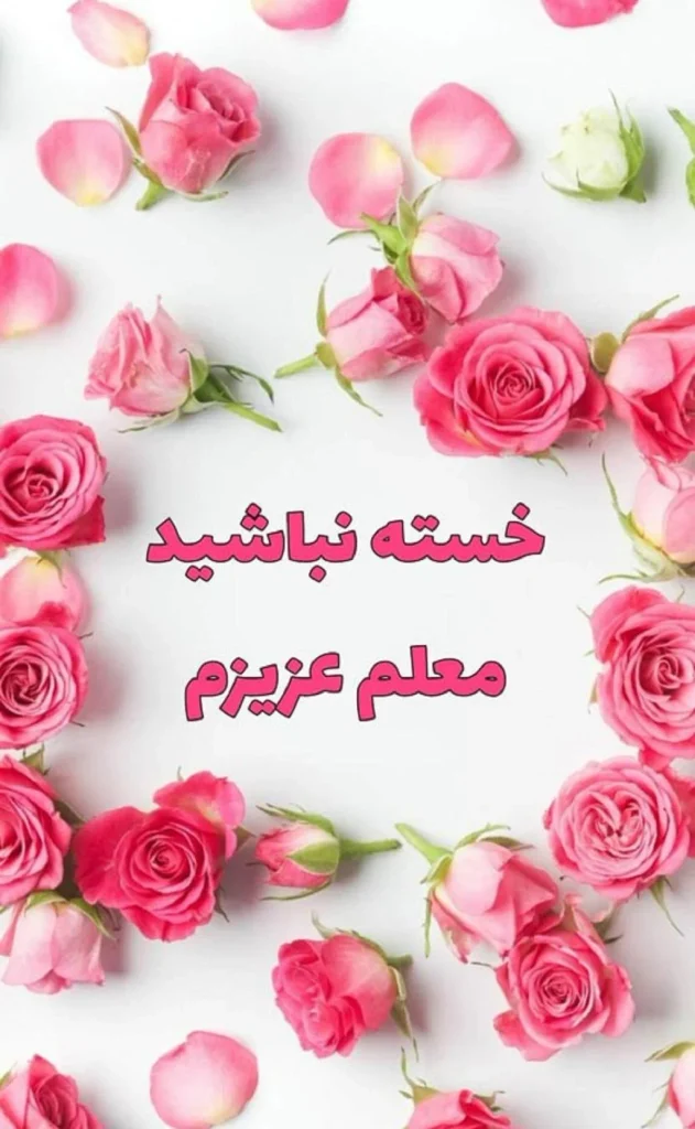 شاخه گل و هدیه تقدیر از معلم آخر سال تحصیلی