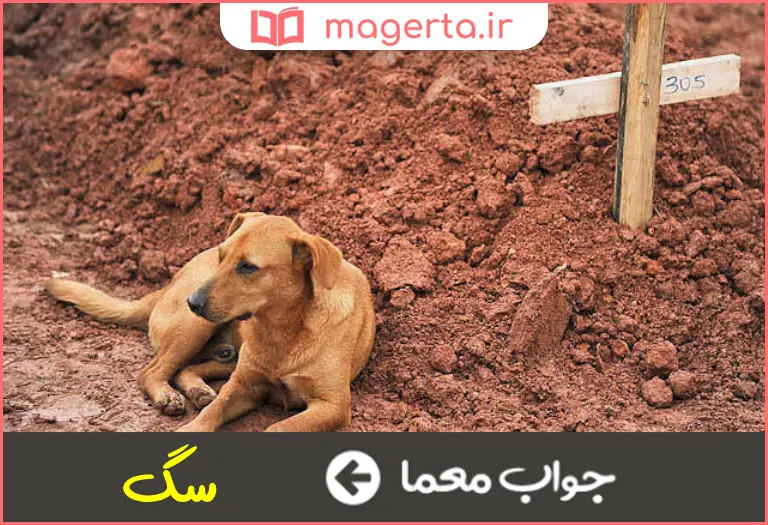جواب معما مظهر وفا در جدول
