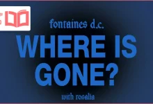 متن و ترجمه آهنگ Where Is Gone از Fontaines D.C