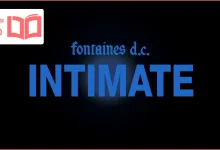 متن و ترجمه آهنگ Intimate از Fontaines D.C