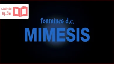 متن و ترجمه آهنگ Mimesis از Fontaines D.C