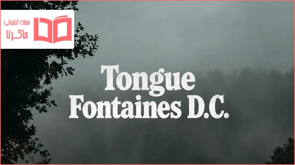 متن و ترجمه آهنگ Tongue از Fontaines D.C