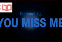 متن و ترجمه آهنگ You Miss Me از Fontaines D.C