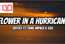 متن و ترجمه آهنگ Flower In A Hurricane از Justice و Tame Impala و SZA