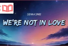 متن و ترجمه آهنگ We’re Not In Love از SIENNA SPIRO