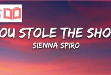 متن و ترجمه آهنگ You Stole The Show از SIENNA SPIRO
