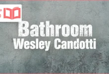 متن و ترجمه آهنگ Bathroom از Wesley Candotti