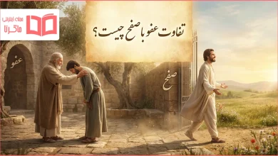 تفاوت عفو با صفح چیست؟