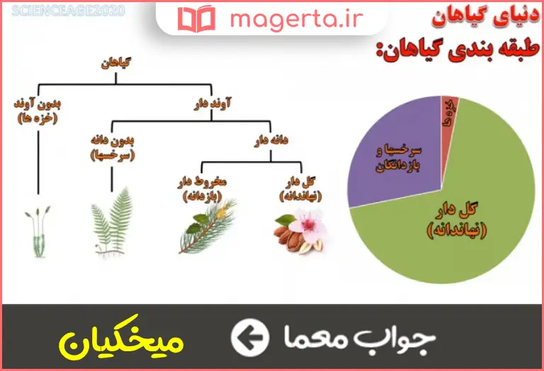جواب معما خانواده ای از گیاهان در جدول