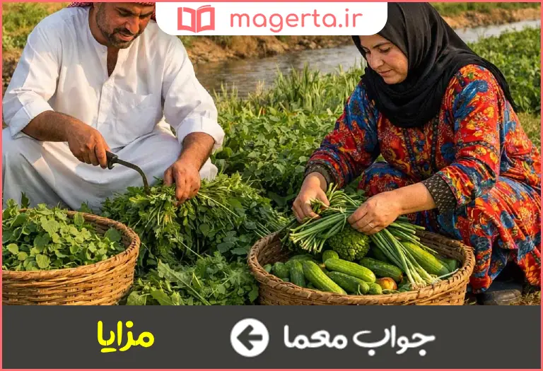 جواب معما فزونی ها در جدول