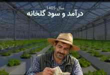 بررسی واقعی سود و درآمد گلخانه در سال 1405