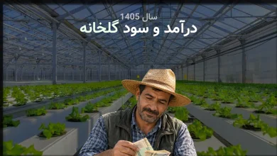 بررسی واقعی سود و درآمد گلخانه در سال 1405