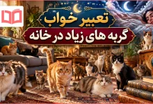 تعبیر خواب گربه های زیاد در خانه