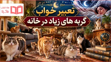 تعبیر خواب گربه های زیاد در خانه