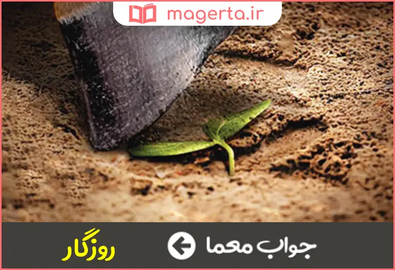 جواب معما دهر در جدول
