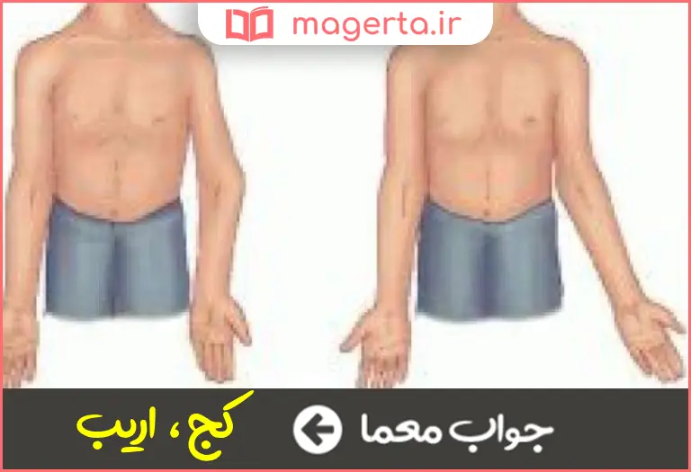 جواب معما ناراست در جدول