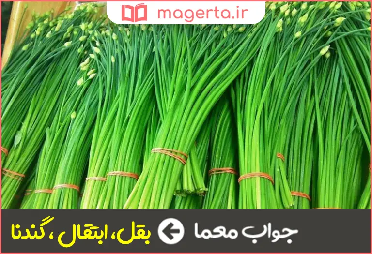 جواب معما سبزی تره در جدول