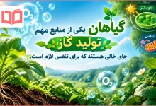 گیاهان یکی از منابع مهم تولید گاز جای خالی هستند که برای تنفس لازم است
