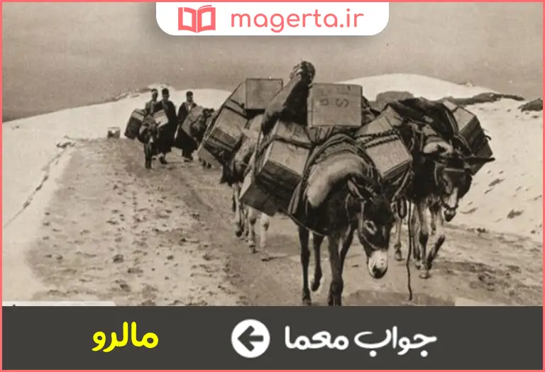 جواب معما مسیر حرکت چهارپایان در جدول