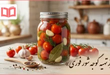 طرز تهیه گوجه شور فوری