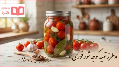 طرز تهیه گوجه شور فوری